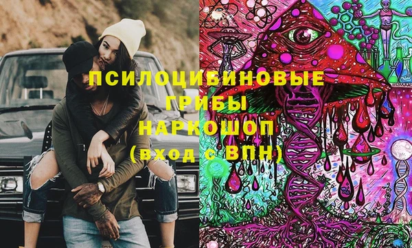 шишки Белоозёрский